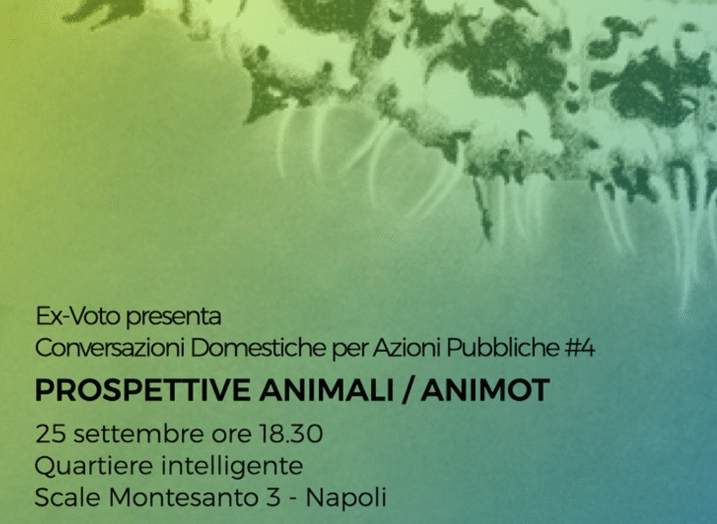 Screenshot 2025-05-29 alle 16.11.16