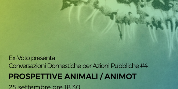Screenshot 2025-05-29 alle 16.11.16